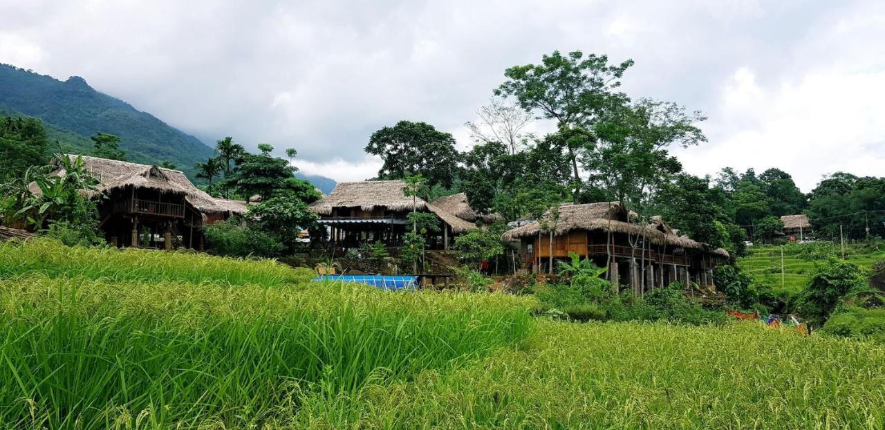 Puluong Valley Thanh Hoa