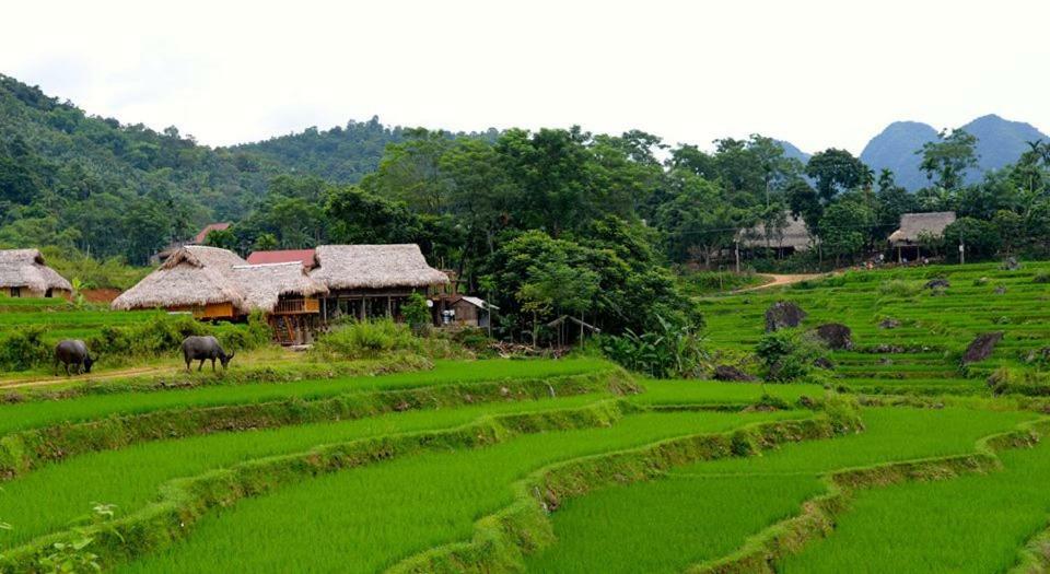 Homestay Puluong Valley